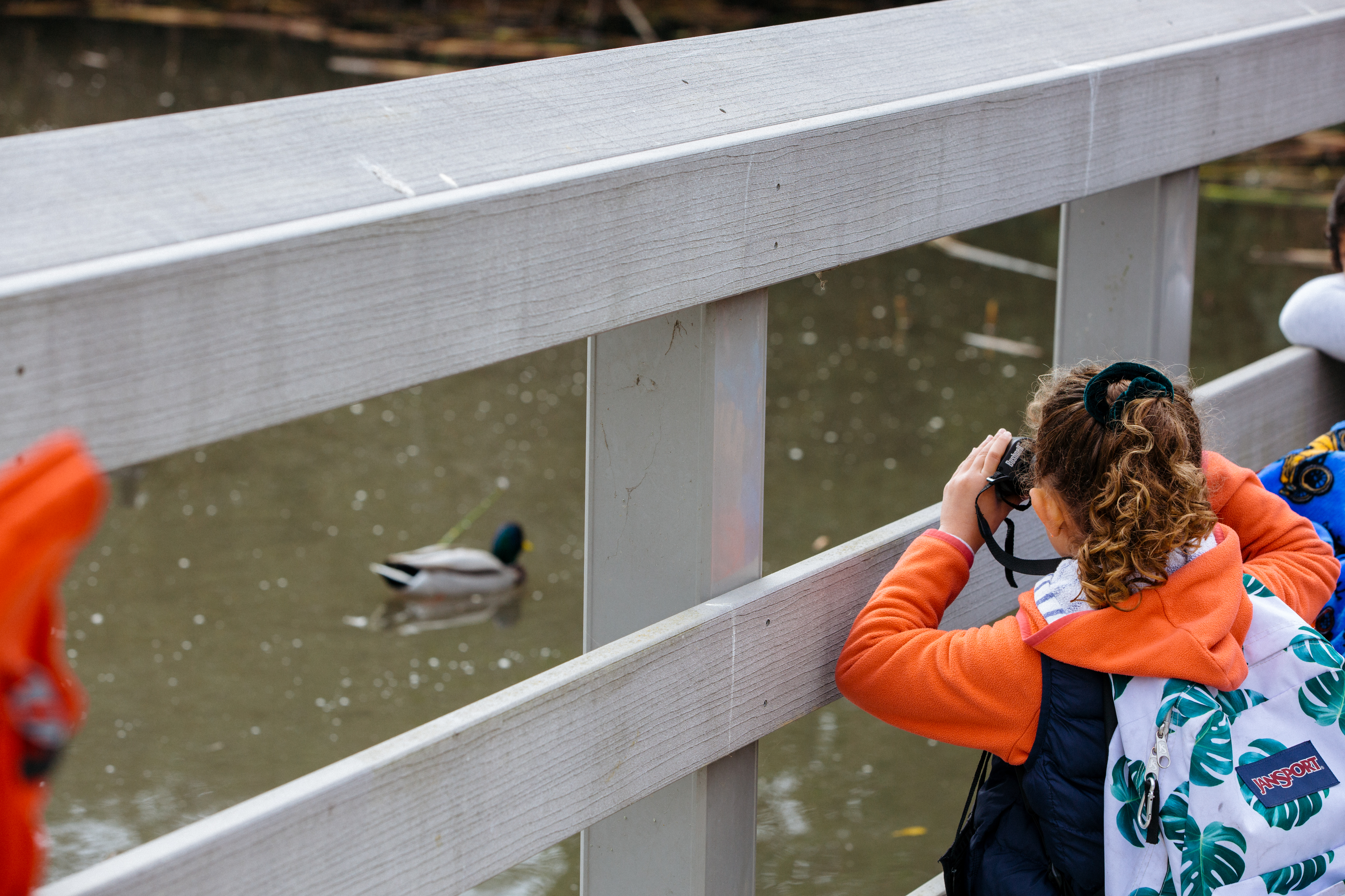 Exploring Neary Lagoon Santa Cruz Museum of Natural History