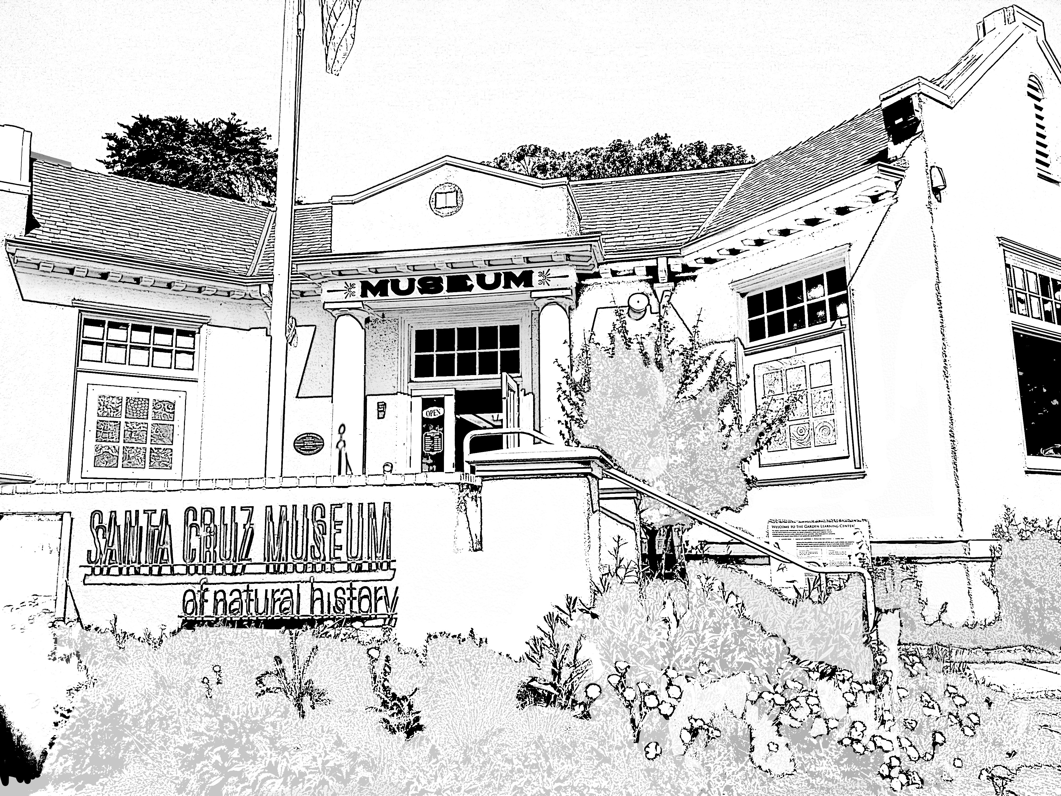 Museum Coloring Book Santa Cruz Museum of Natural History