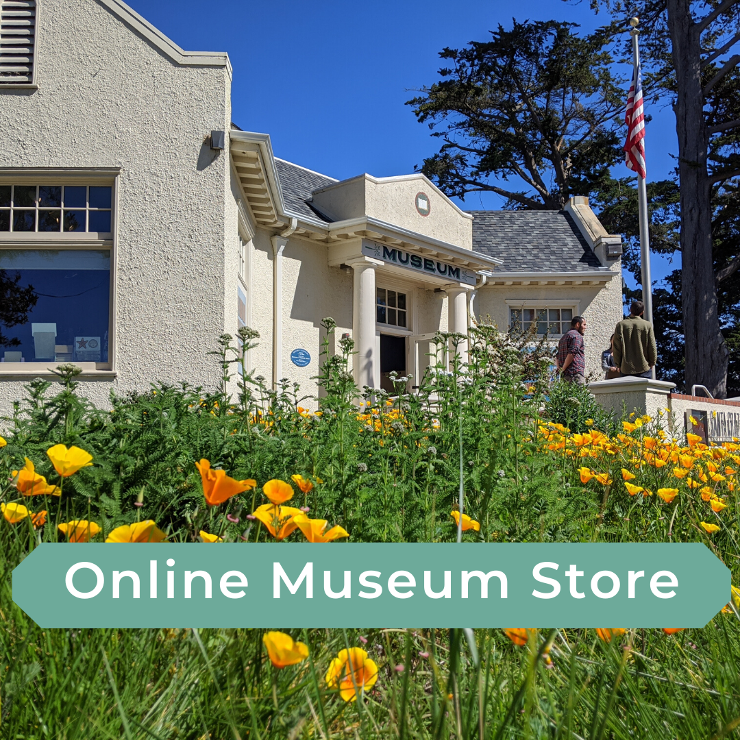 Museum Store Santa Cruz Museum of Natural History