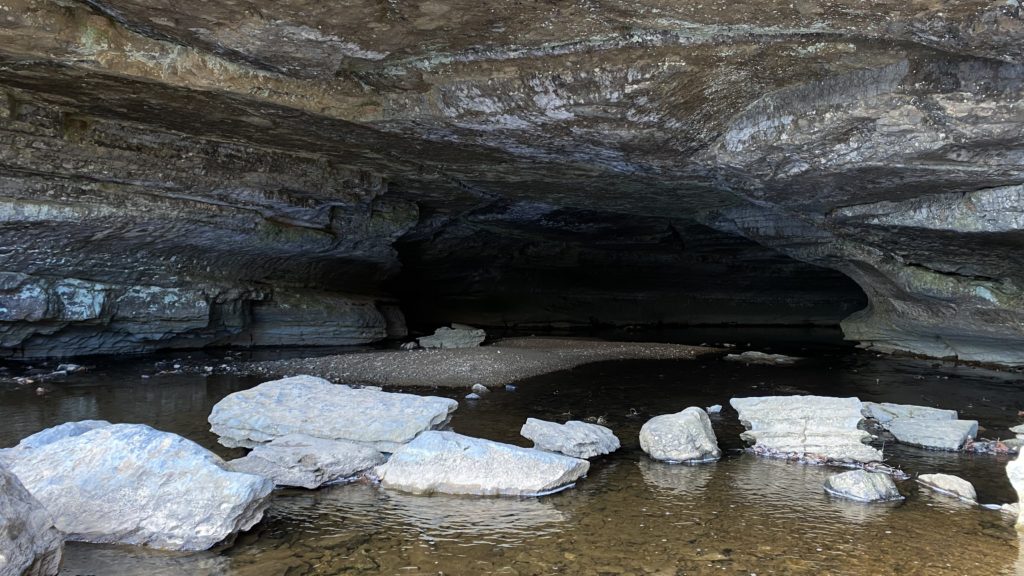 Rock Record: Caverns of Time - Santa Cruz Museum of Natural History