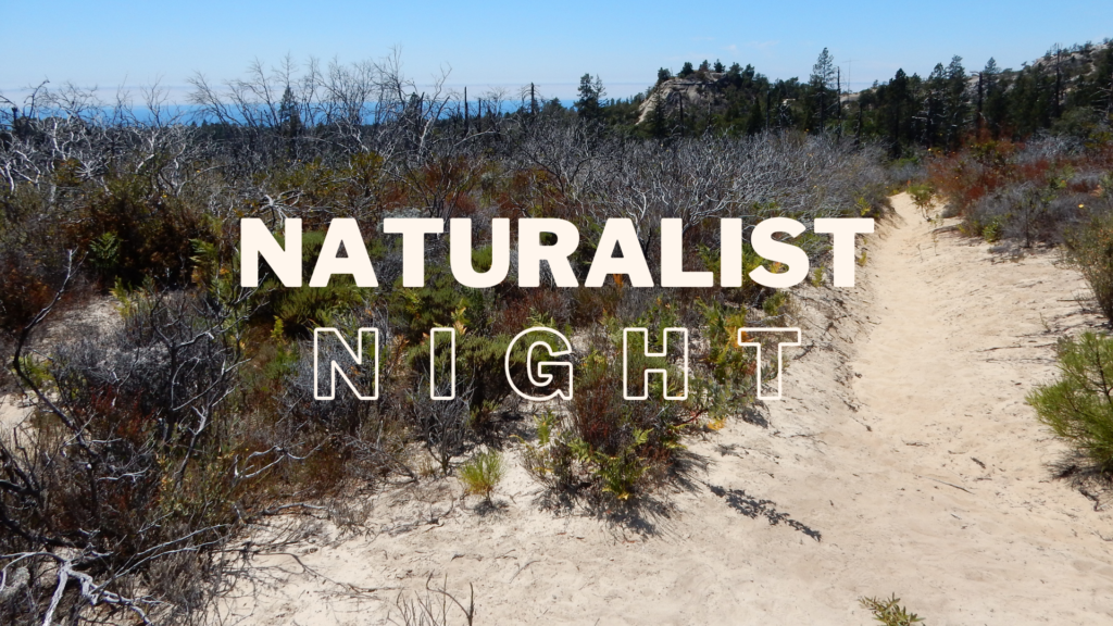 Naturalist Night Santa Cruz Sandhills Santa Cruz Museum of