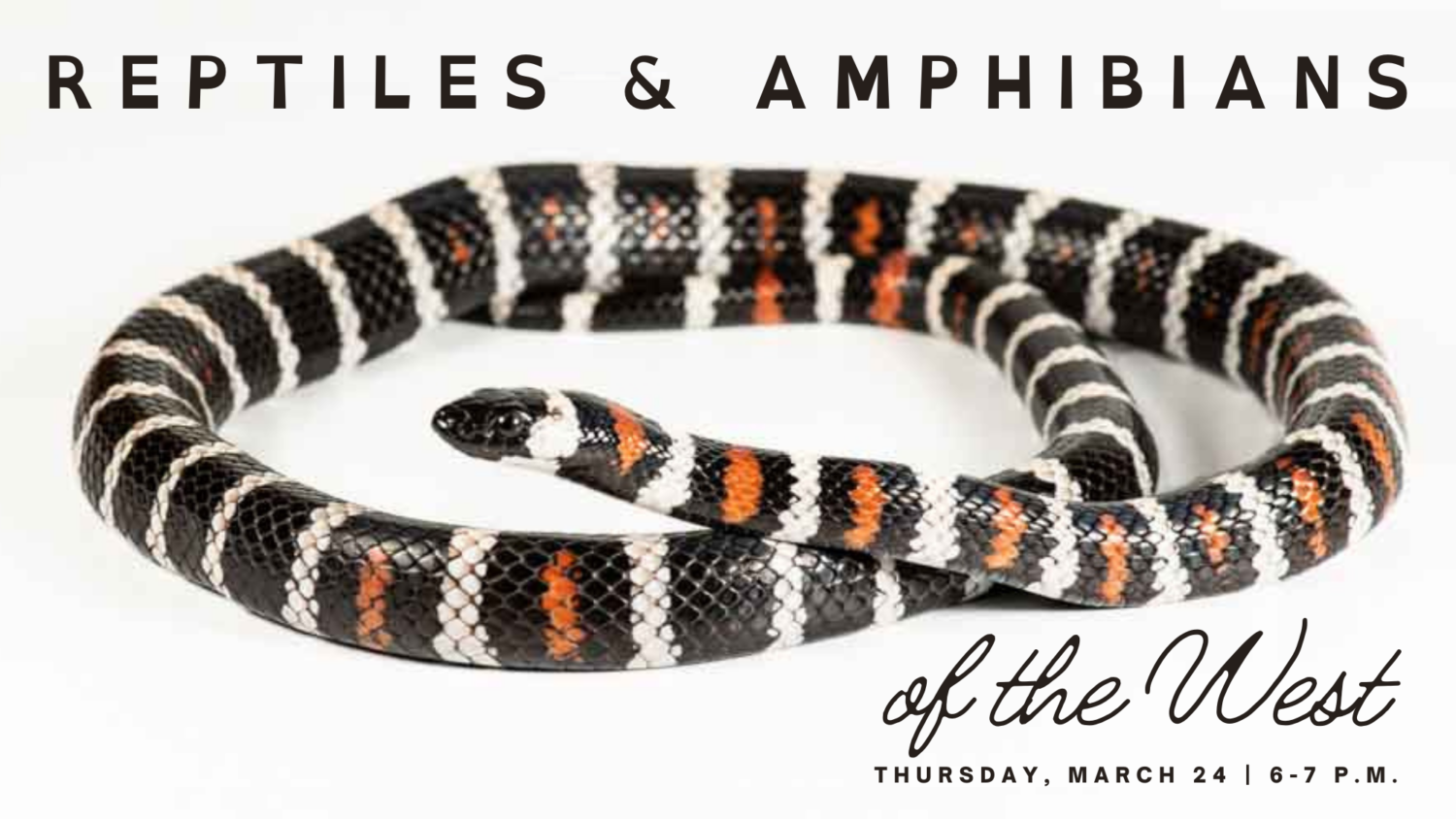 Reptiles and Amphibians of the West with Charles Hood - Santa Cruz