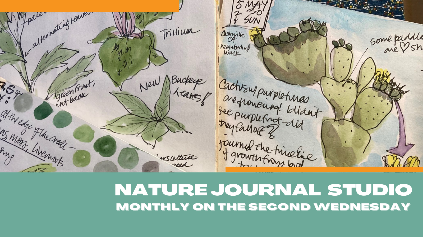 2/2 Nature Journal Studio (FULL) - Santa Cruz Museum of Natural History