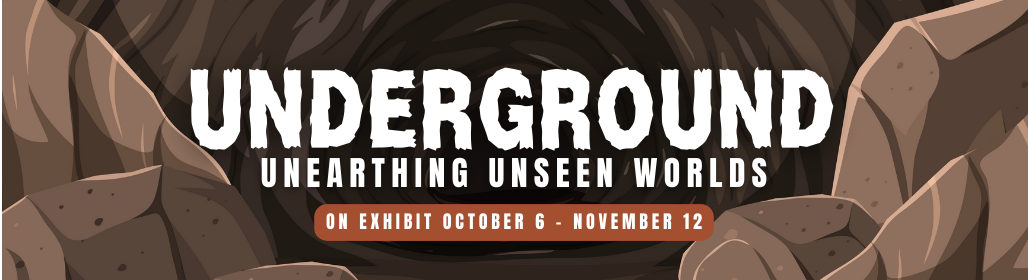 Underground: Unearthing Unseen Worlds - Santa Cruz Museum of Natural 