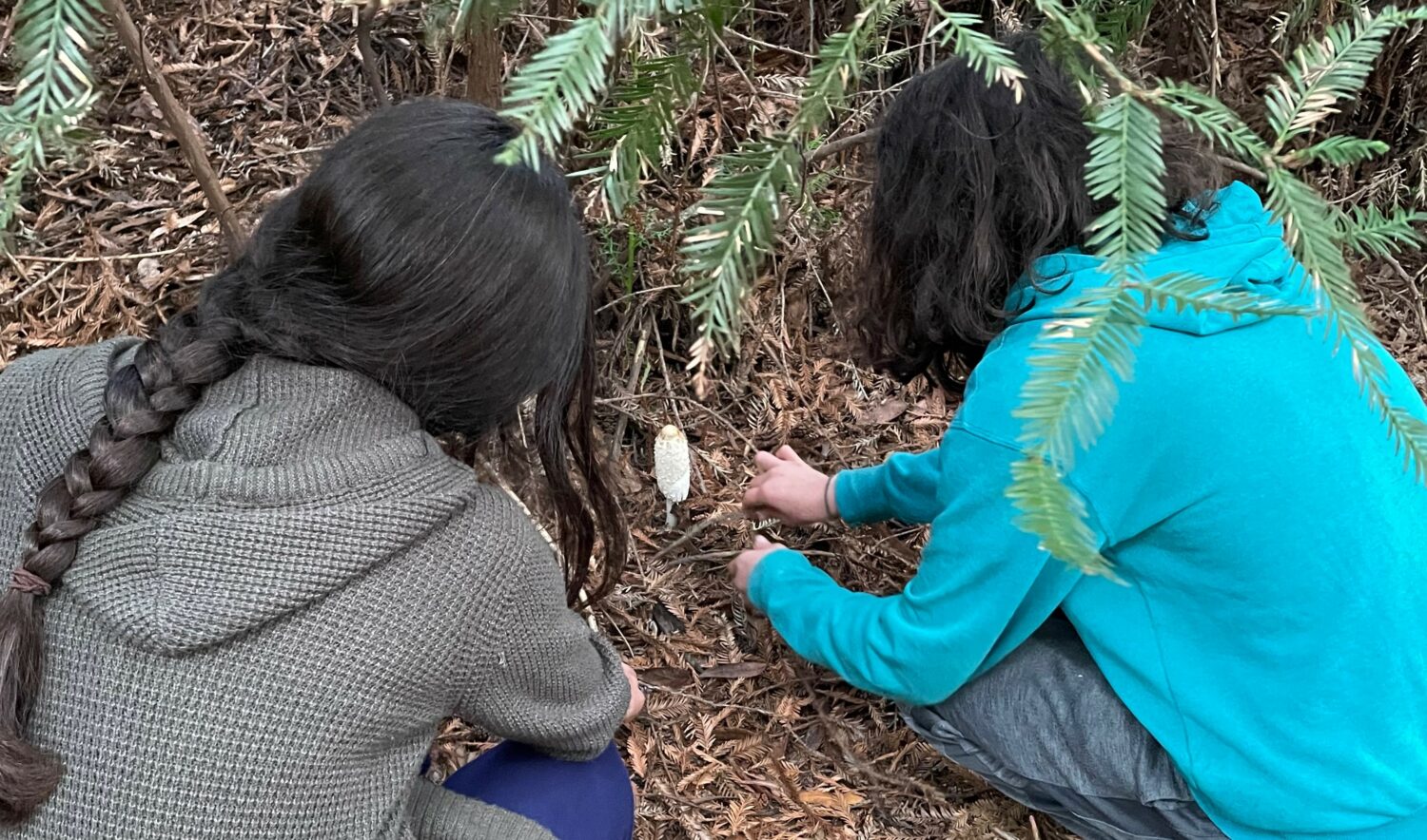 Events And Public Programs - Santa Cruz Museum Of Natural History