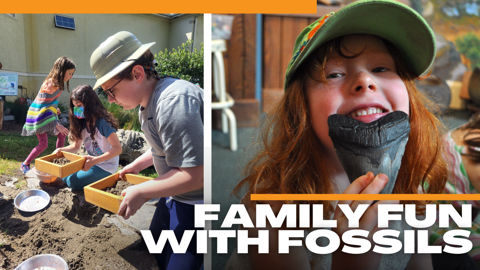 3 30 Family Fun with Fossils Santa Cruz Museum of Natural History