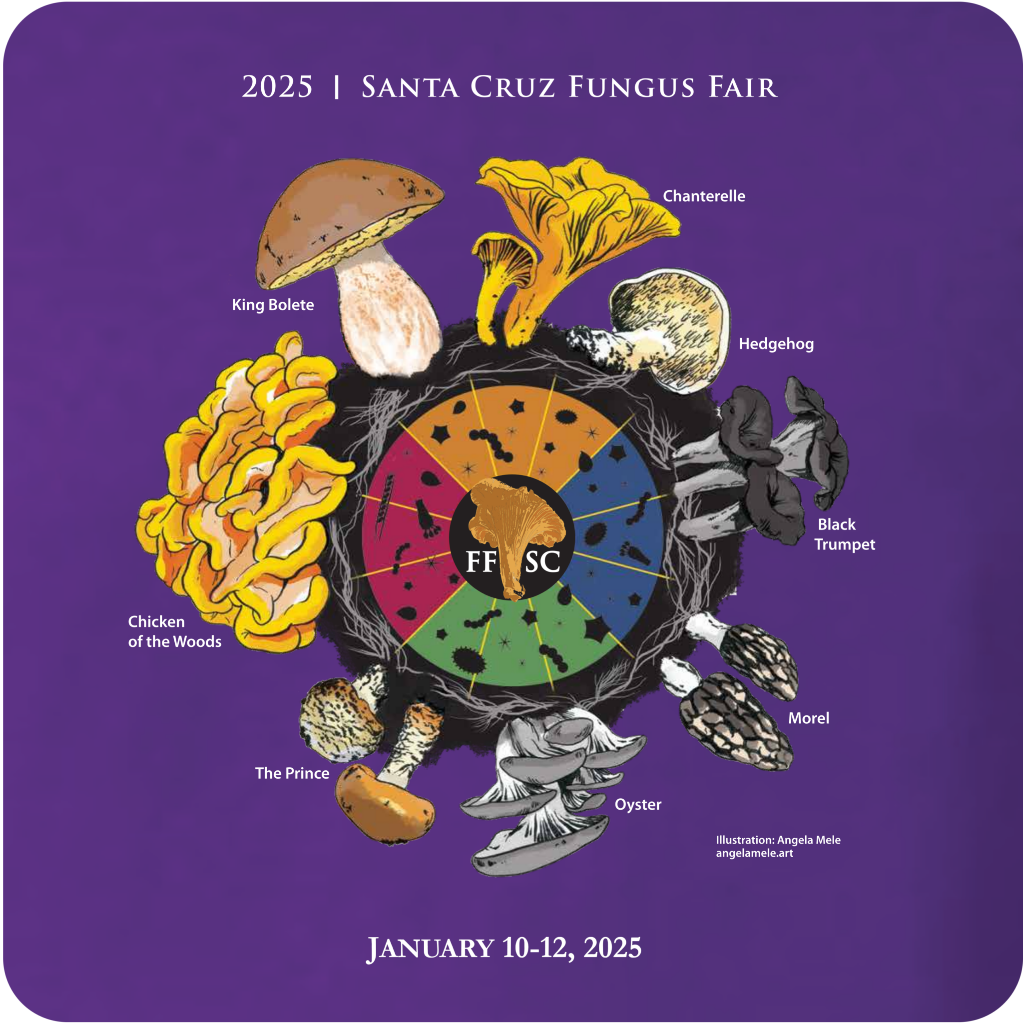 Santa Cruz Fungus Fair 2025