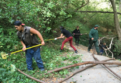 Teens raking up plants by a trail