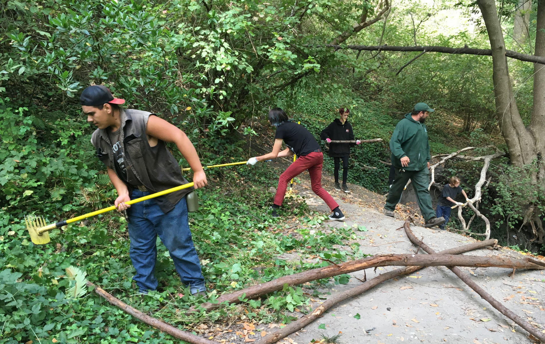 Teens raking up plants by a trail
