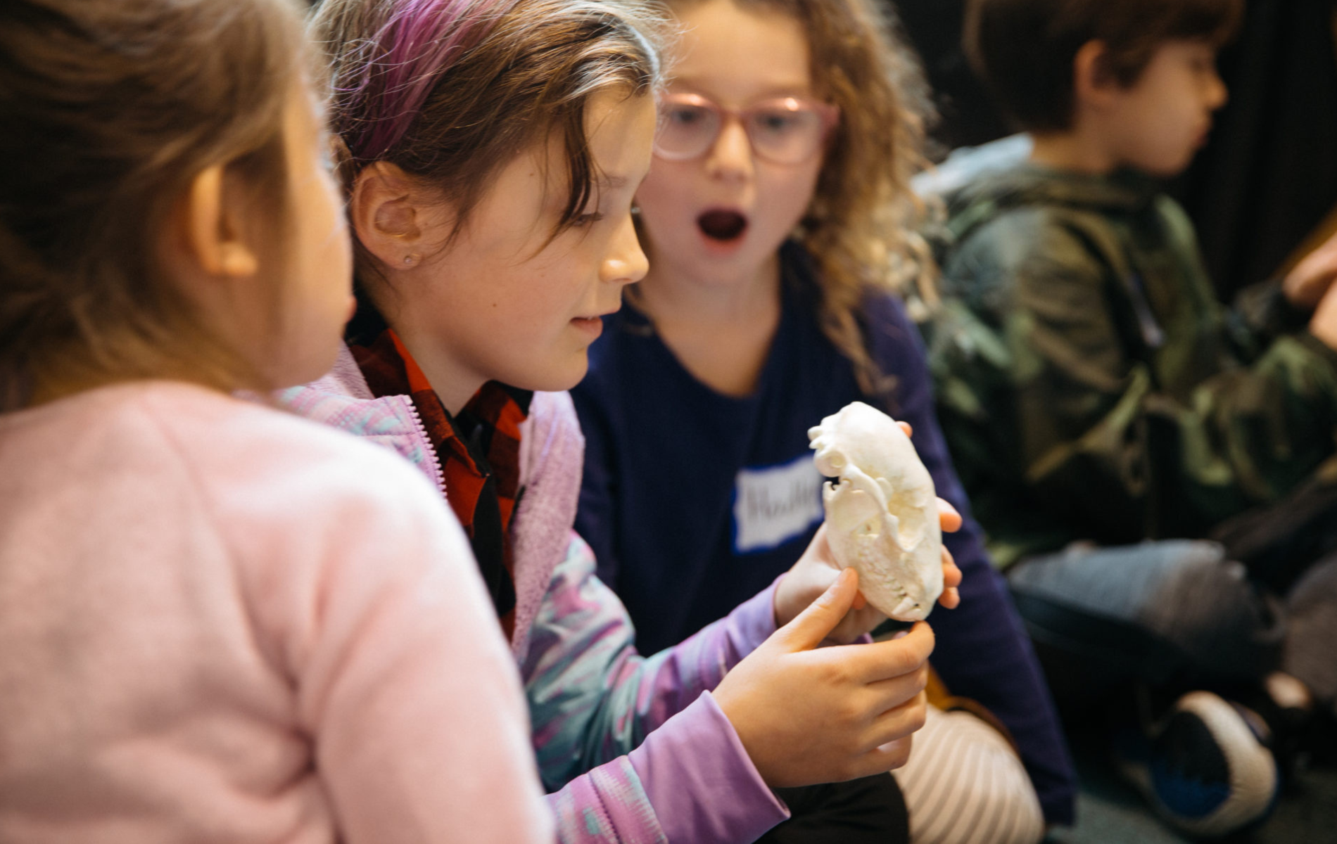 Three girls looking excited while holding an animal skull