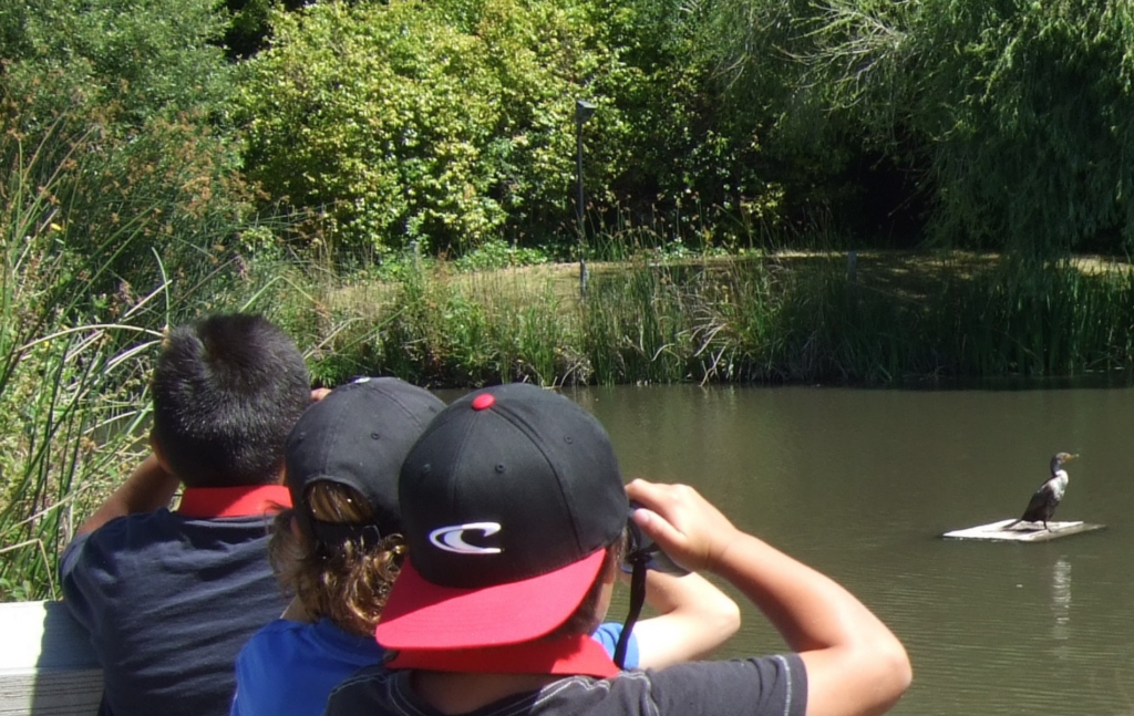 boys using binoculars to look at a black wetland bird