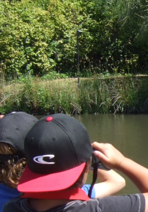 boys using binoculars to look at a black wetland bird
