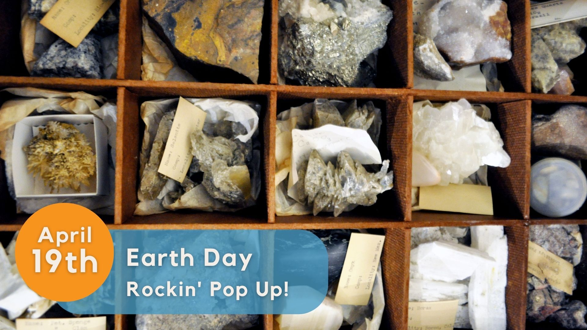 4/19 Earth Day Rockin’ Pop Up! - Santa Cruz Museum of Natural History