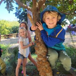 kids sitting in and around a tree