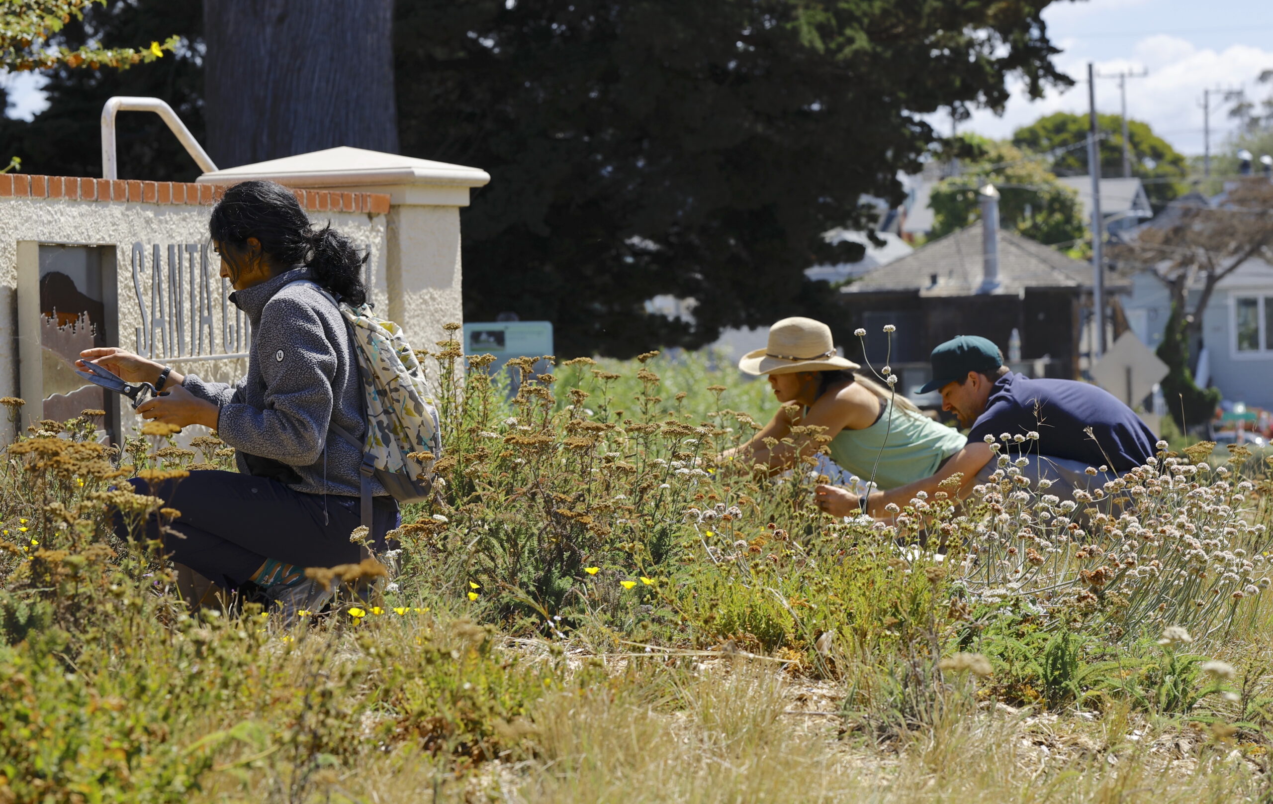 3 people working in a garden