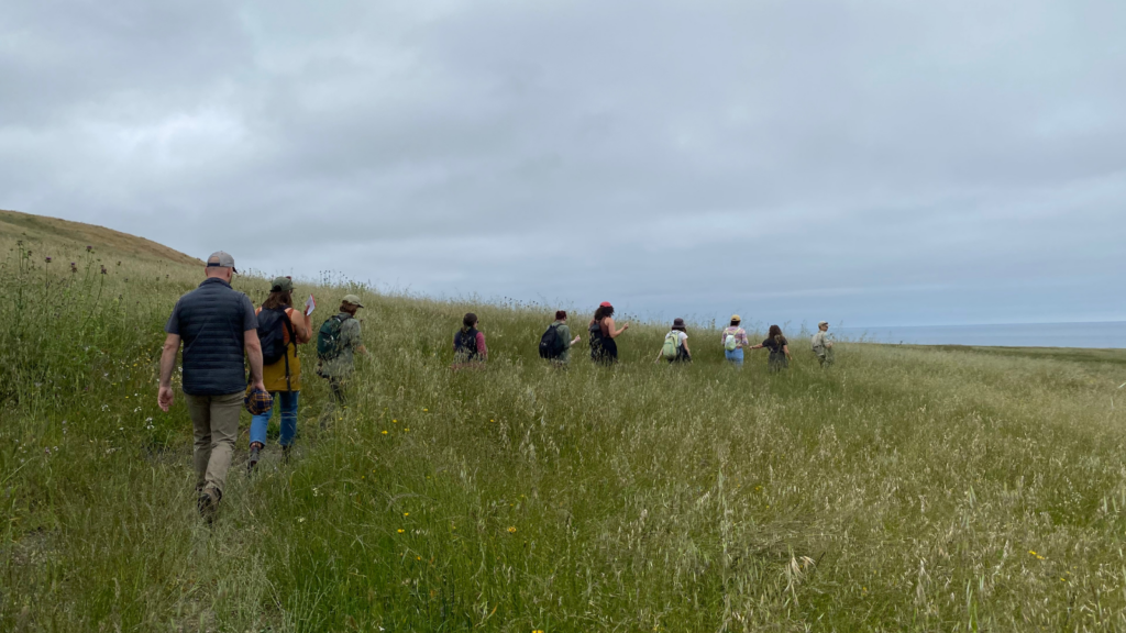 a line of people hiking in a field