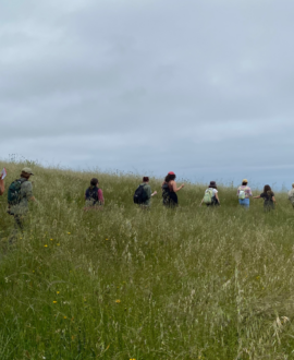 a line of people hiking in a field