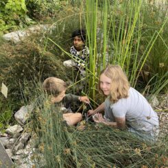 three kids playing in reeds