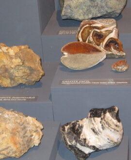 exhibit display of various minerals