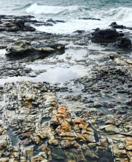 rocks at the edge of the ocean