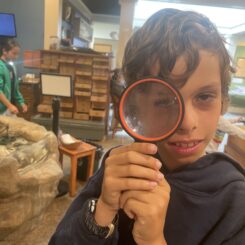 A boy holding a magnifying glass up to his eye