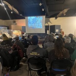 people sitting watching a presentation on a screen