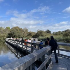 a school group walking on a boardwalk over a lagoon