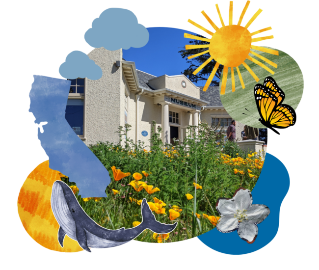 museum building with a collage of clipart