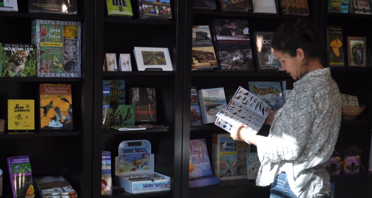 A woman looking at books in a store
