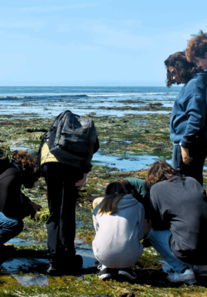 LiMPETS, Nature Club, Tide Pooling