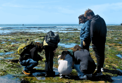 LiMPETS, Nature Club, Tide Pooling